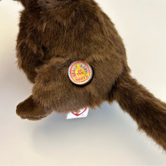 Beanie Babies Fiddler Cat TY 2005 Stuffed Animal Plush Toy | Beanie Baby Month - Picture 10 of 11